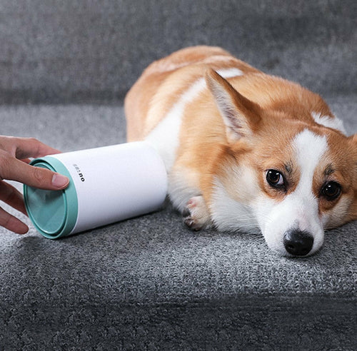 Portable pet paw cleaner cup, silicone comb
