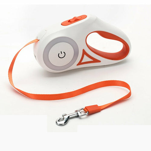 Retractable dog leash with dog, lifestyle photo