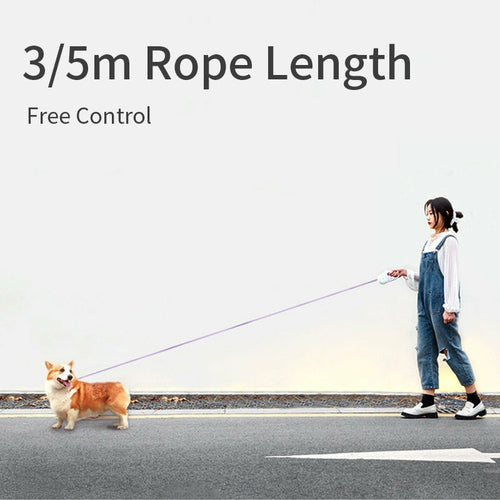 Retractable dog leash color options
