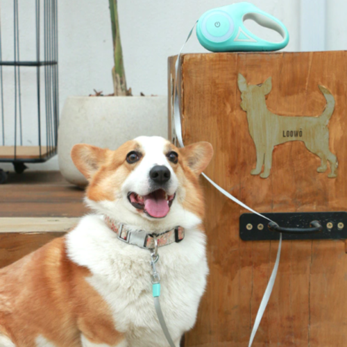 Retractable dog leash usage diagram
