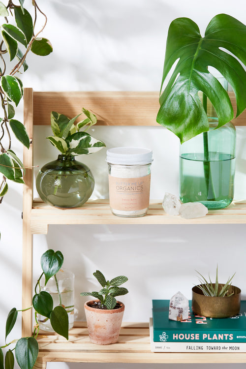 Detox bath soak ingredients close-up