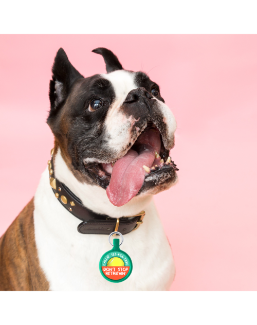 Ecoplastic pet ID tag close-up detail
